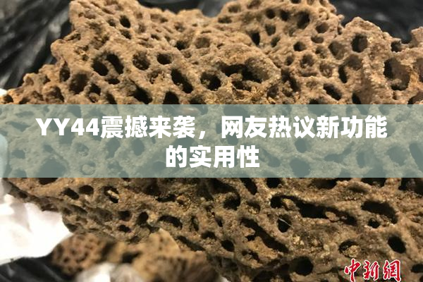 YY44震撼来袭，网友热议新功能的实用性