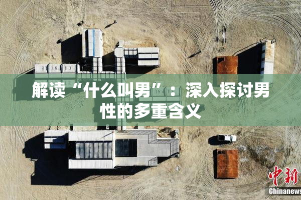 解读“什么叫男”：深入探讨男性的多重含义