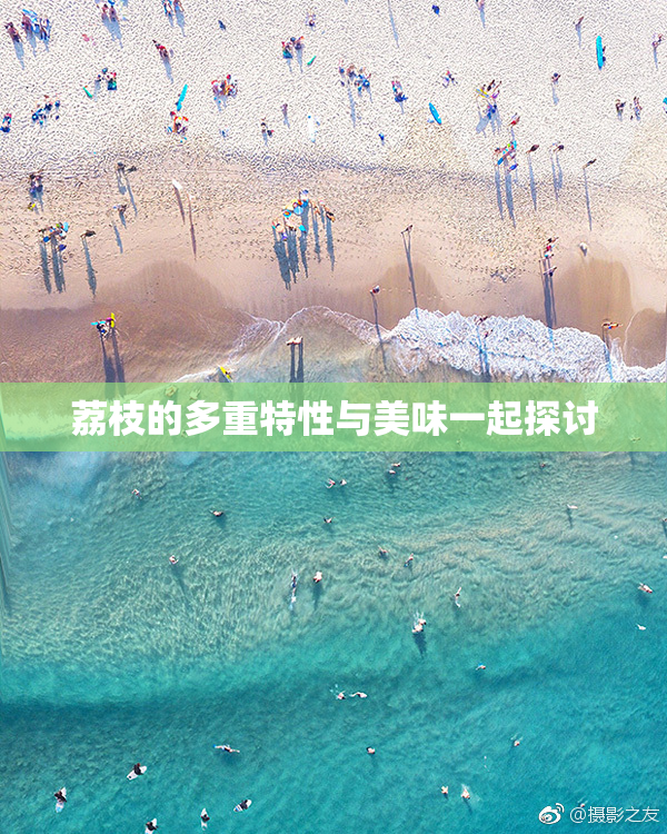 荔枝的多重特性与美味一起探讨