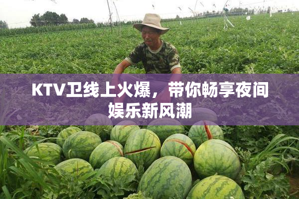 KTV卫线上火爆，带你畅享夜间娱乐新风潮