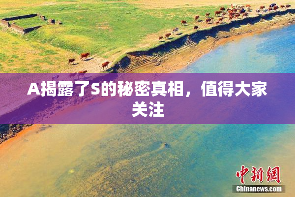 A揭露了S的秘密真相，值得大家关注