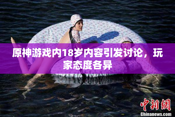 原神游戏内18岁内容引发讨论，玩家态度各异