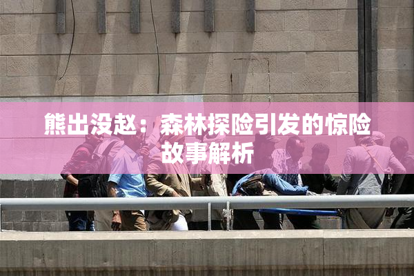 熊出没赵：森林探险引发的惊险故事解析