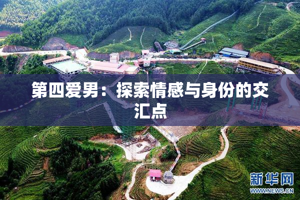 第四爱男：探索情感与身份的交汇点