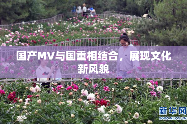 国产MV与国重相结合，展现文化新风貌