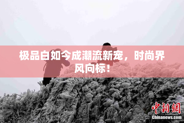 极品白如今成潮流新宠，时尚界风向标！