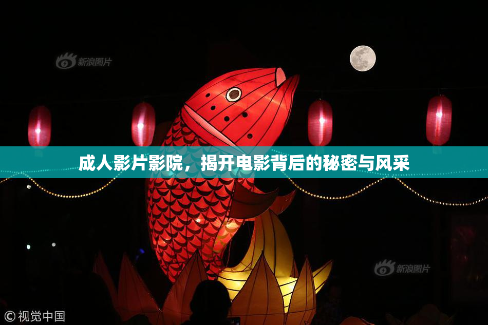 成人影片影院，揭开电影背后的秘密与风采