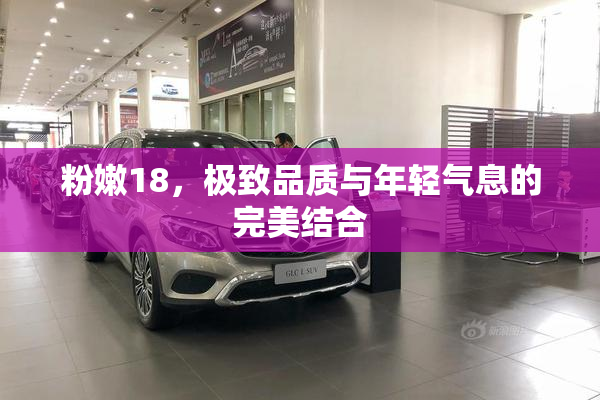 粉嫩18，极致品质与年轻气息的完美结合