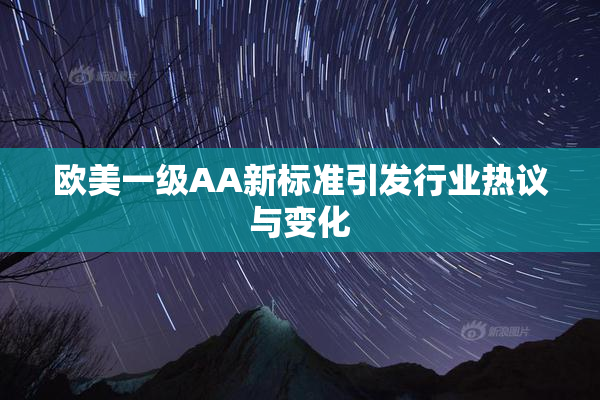 欧美一级AA新标准引发行业热议与变化
