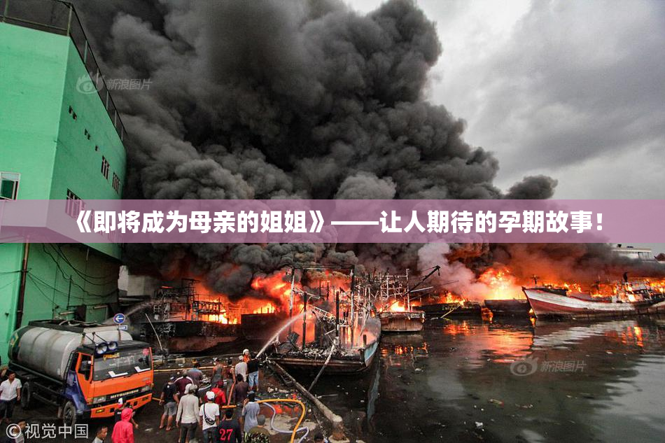 《即将成为母亲的姐姐》——让人期待的孕期故事！