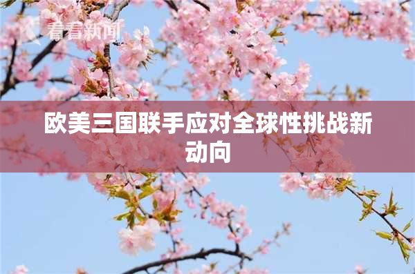 欧美三国联手应对全球性挑战新动向