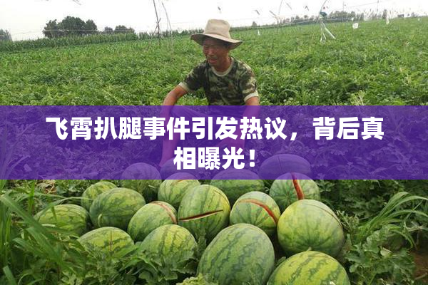 飞霄扒腿事件引发热议，背后真相曝光！