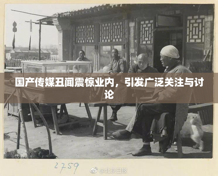 国产传媒丑闻震惊业内，引发广泛关注与讨论