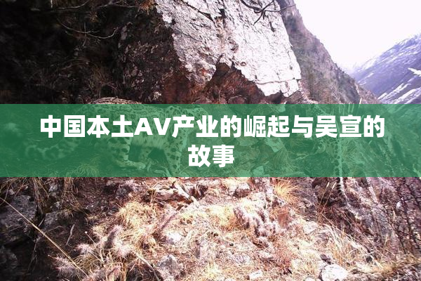 中国本土AV产业的崛起与吴宣的故事