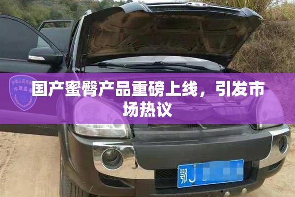 国产蜜臀产品重磅上线，引发市场热议