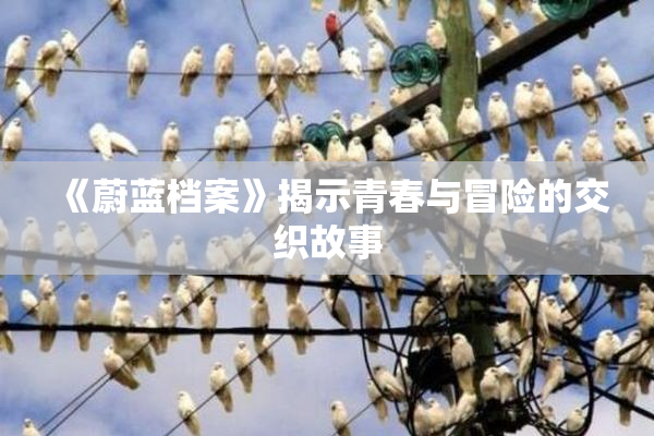 《蔚蓝档案》揭示青春与冒险的交织故事
