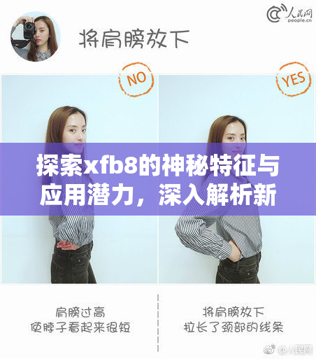 探索xfb8的神秘特征与应用潜力，深入解析新科技