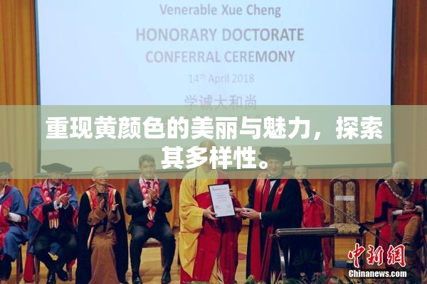 重现黄颜色的美丽与魅力，探索其多样性。