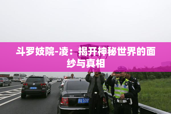 斗罗妓院-凌：揭开神秘世界的面纱与真相