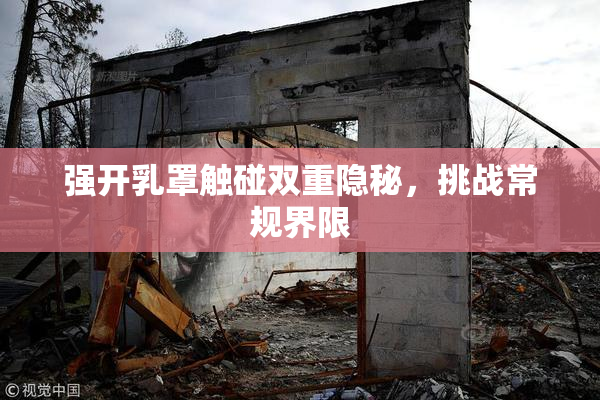 强开乳罩触碰双重隐秘，挑战常规界限