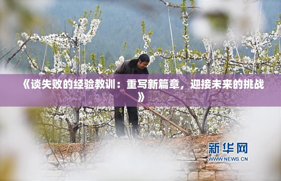 《谈失败的经验教训：重写新篇章，迎接未来的挑战》