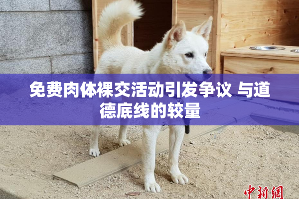 免费肉体裸交活动引发争议 与道德底线的较量
