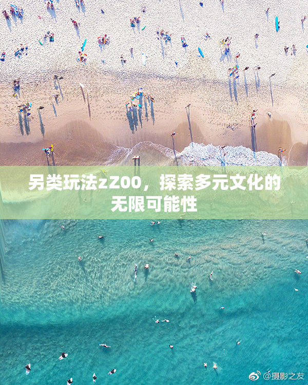 另类玩法zZ00，探索多元文化的无限可能性