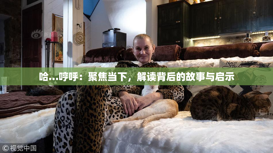 哈…哼呼：聚焦当下，解读背后的故事与启示