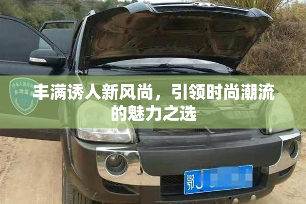 丰满诱人新风尚，引领时尚潮流的魅力之选