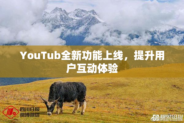 YouTub全新功能上线，提升用户互动体验