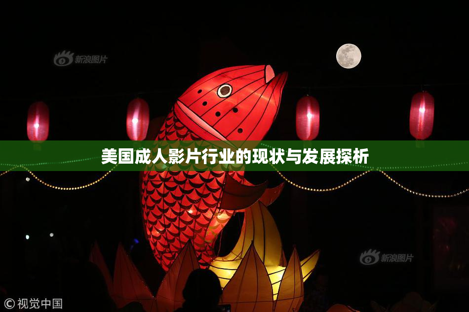 美国成人影片行业的现状与发展探析