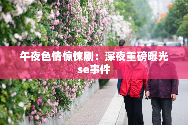 午夜色情惊悚剧：深夜重磅曝光se事件