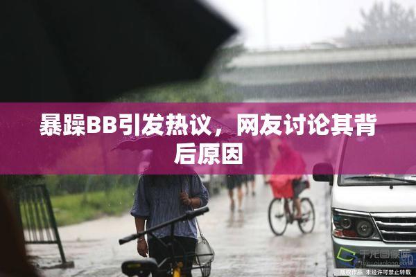 暴躁BB引发热议，网友讨论其背后原因
