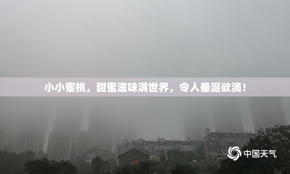 小小蜜桃，甜蜜滋味满世界，令人垂涎欲滴！