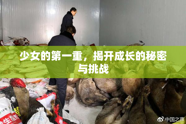 少女的第一重，揭开成长的秘密与挑战