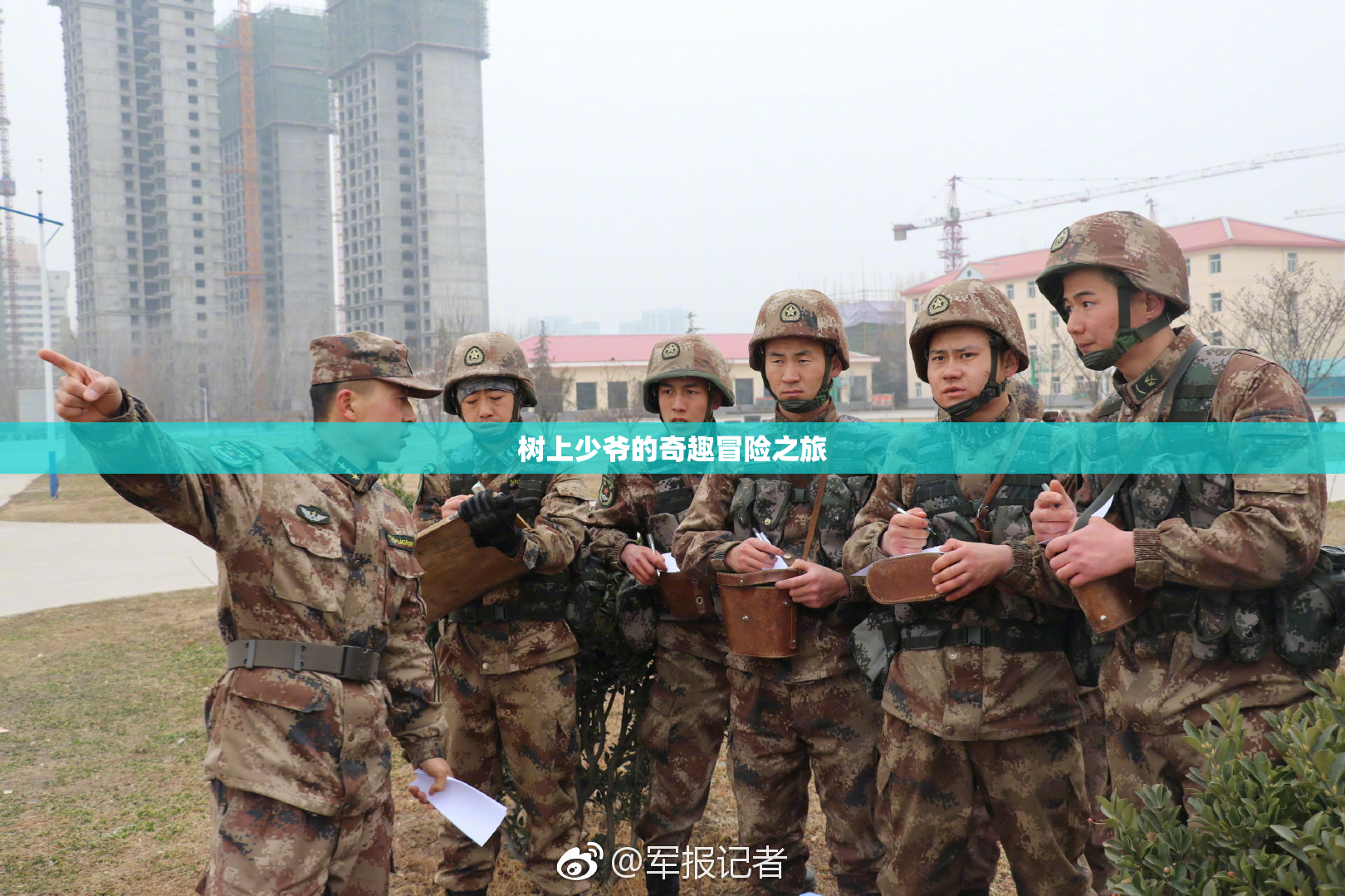 树上少爷的奇趣冒险之旅