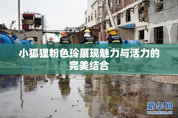 小狐狸粉色玲展现魅力与活力的完美结合