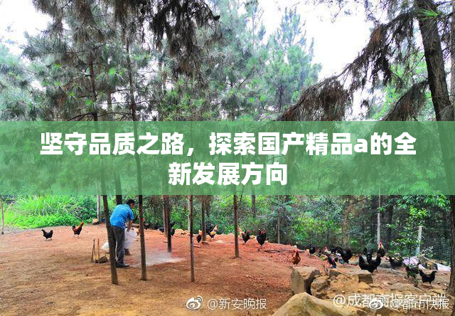 坚守品质之路，探索国产精品a的全新发展方向