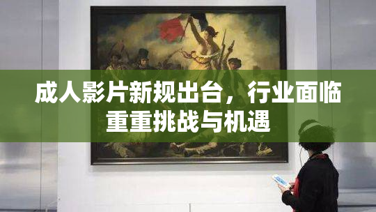成人影片新规出台，行业面临重重挑战与机遇