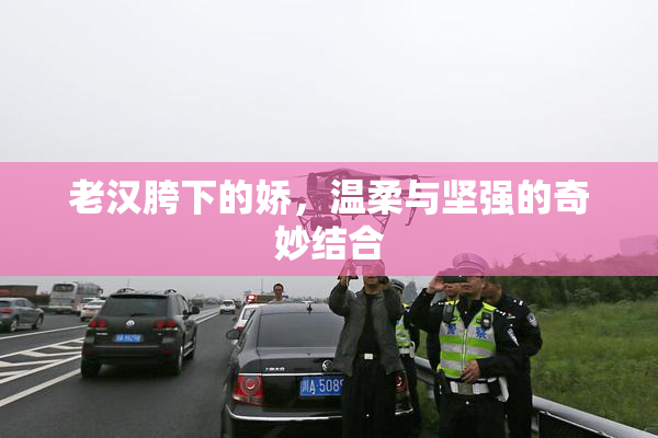 老汉胯下的娇，温柔与坚强的奇妙结合