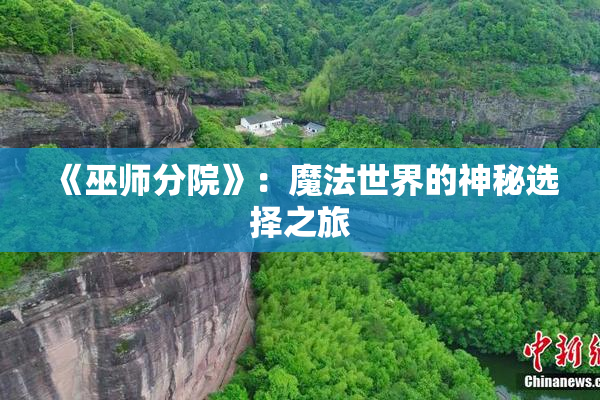《巫师分院》：魔法世界的神秘选择之旅