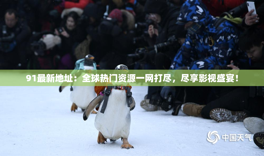 91最新地址：全球热门资源一网打尽，尽享影视盛宴！