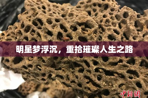 明星梦浮沉，重拾璀璨人生之路