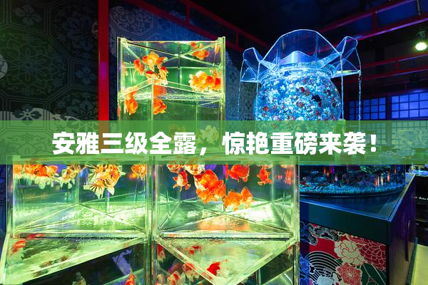 安雅三级全露，惊艳重磅来袭！