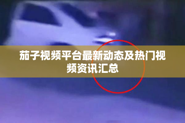茄子视频平台最新动态及热门视频资讯汇总