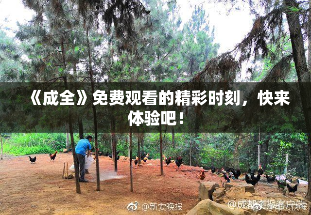 《成全》免费观看的精彩时刻，快来体验吧！