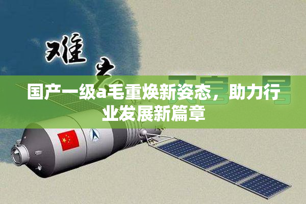 国产一级a毛重焕新姿态，助力行业发展新篇章