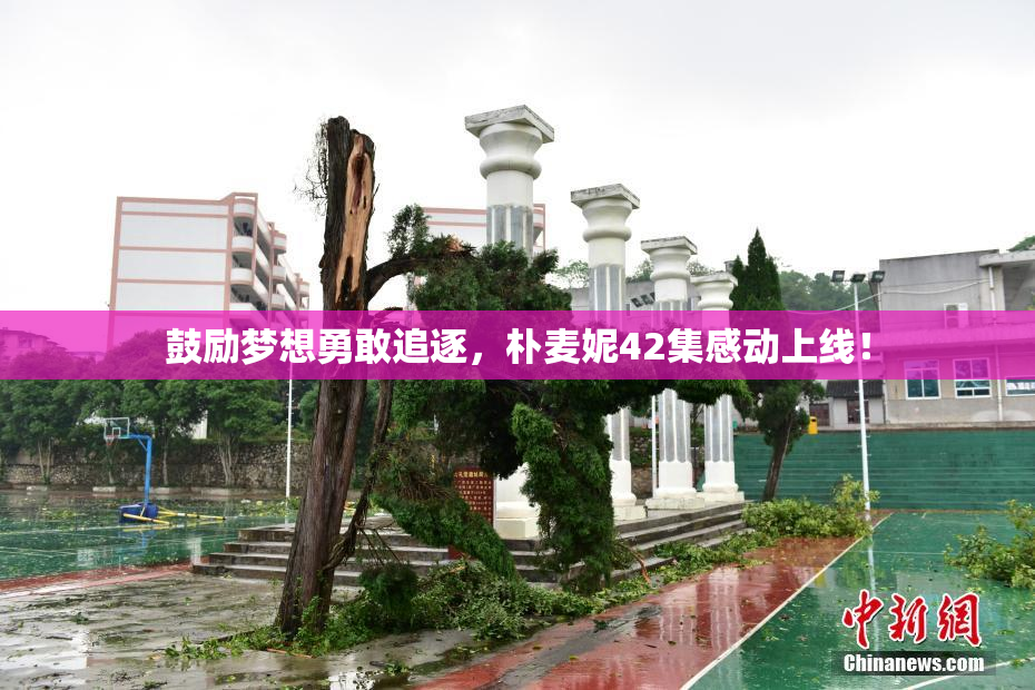鼓励梦想勇敢追逐，朴麦妮42集感动上线！