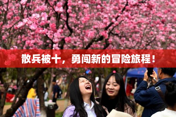 散兵被十，勇闯新的冒险旅程！