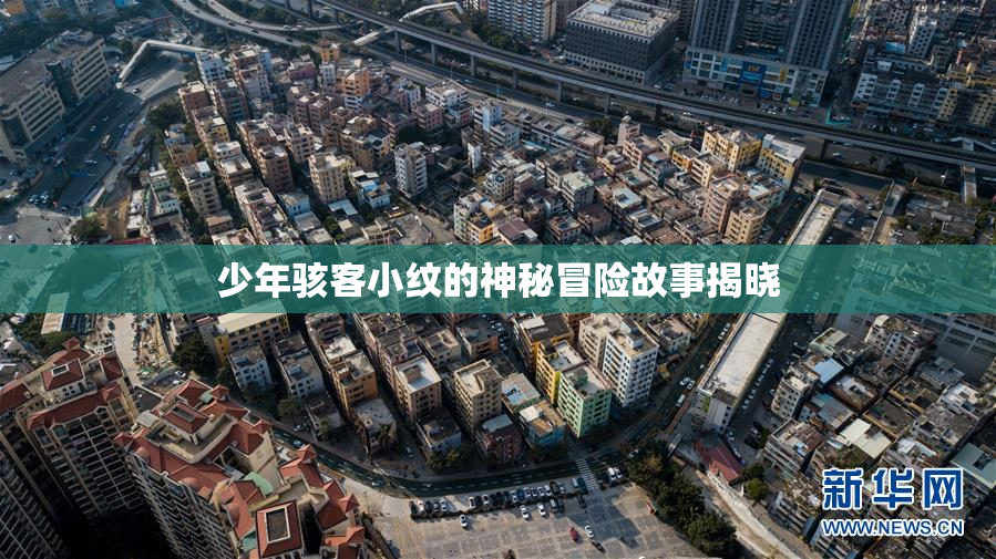 少年骇客小纹的神秘冒险故事揭晓
